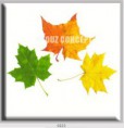 /album/photo-gallery-canvas-uri/decoratiuni-de-perete-canvas-lc-0223-jpg/